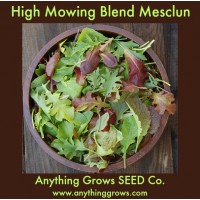 Lettuce - High Mowing Blend - Organic